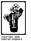 Pattern C: Pricklypear Cactus