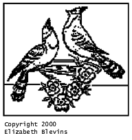 Pattern B: Bird Bath Cardinals