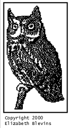 Pattern D: The Night Owl