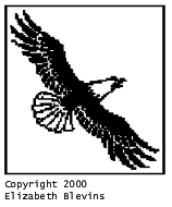Pattern F: Bald Eagle In Flight
