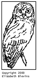Pattern I: Perched Owl