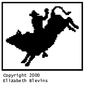 Pattern A: Rodeo Bull Rider