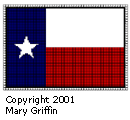 Pattern H: Texas Flag