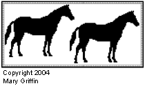 Pattern G: Two Horse Runner